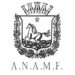 Fusillo confermato alla guida di ANAMF: continuità per il Murgese