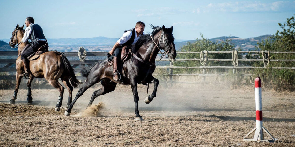 Due butteri a cavallo affrontano una prova di velocità sul campo polveroso del Torneo dei Butteri di Tolfa