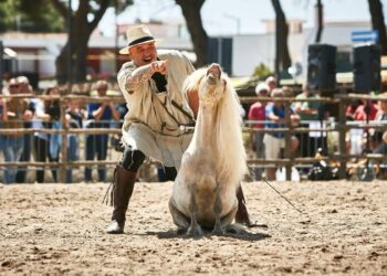 La Notte delle Stelle 2026: a Vietri di Potenza spettacolo equestre per un amico