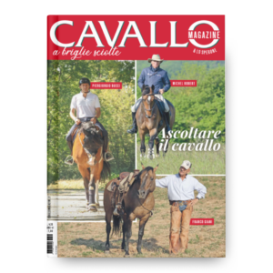 ASCOLTARE IL CAVALLO