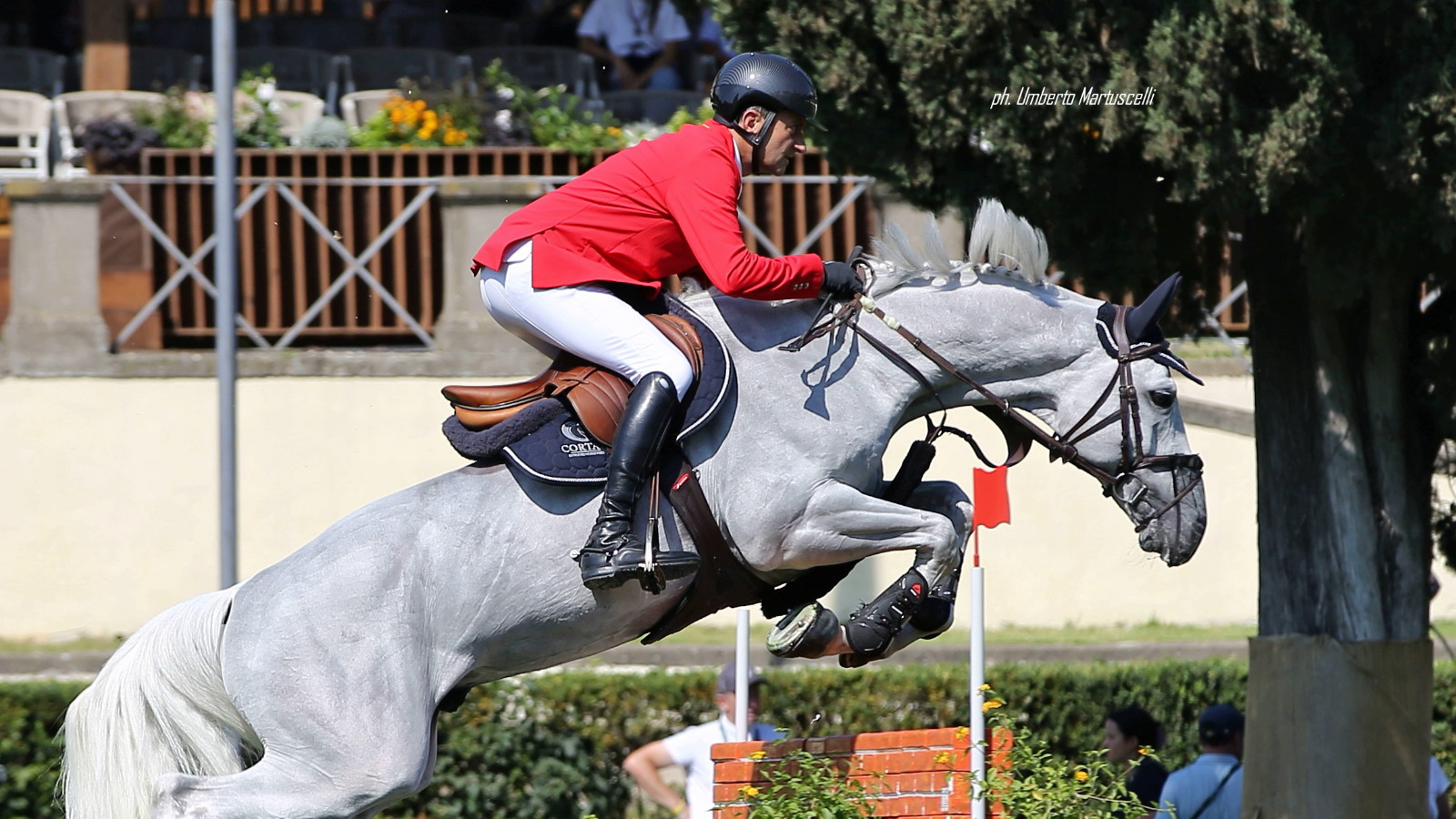 CSIO Roma Piergiorgio Bucci su Pallieter van de N.Ranch OK