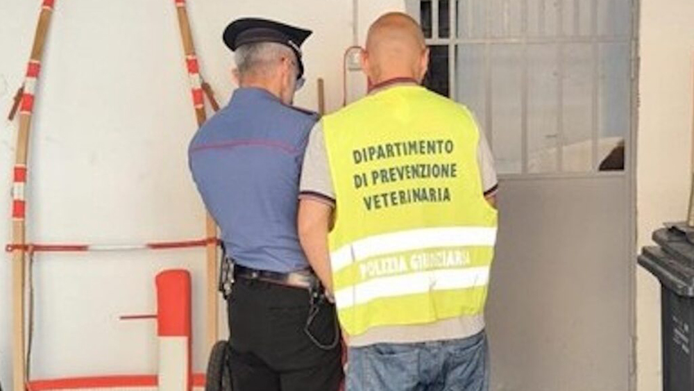 Catania. Controlli 1024x620 1