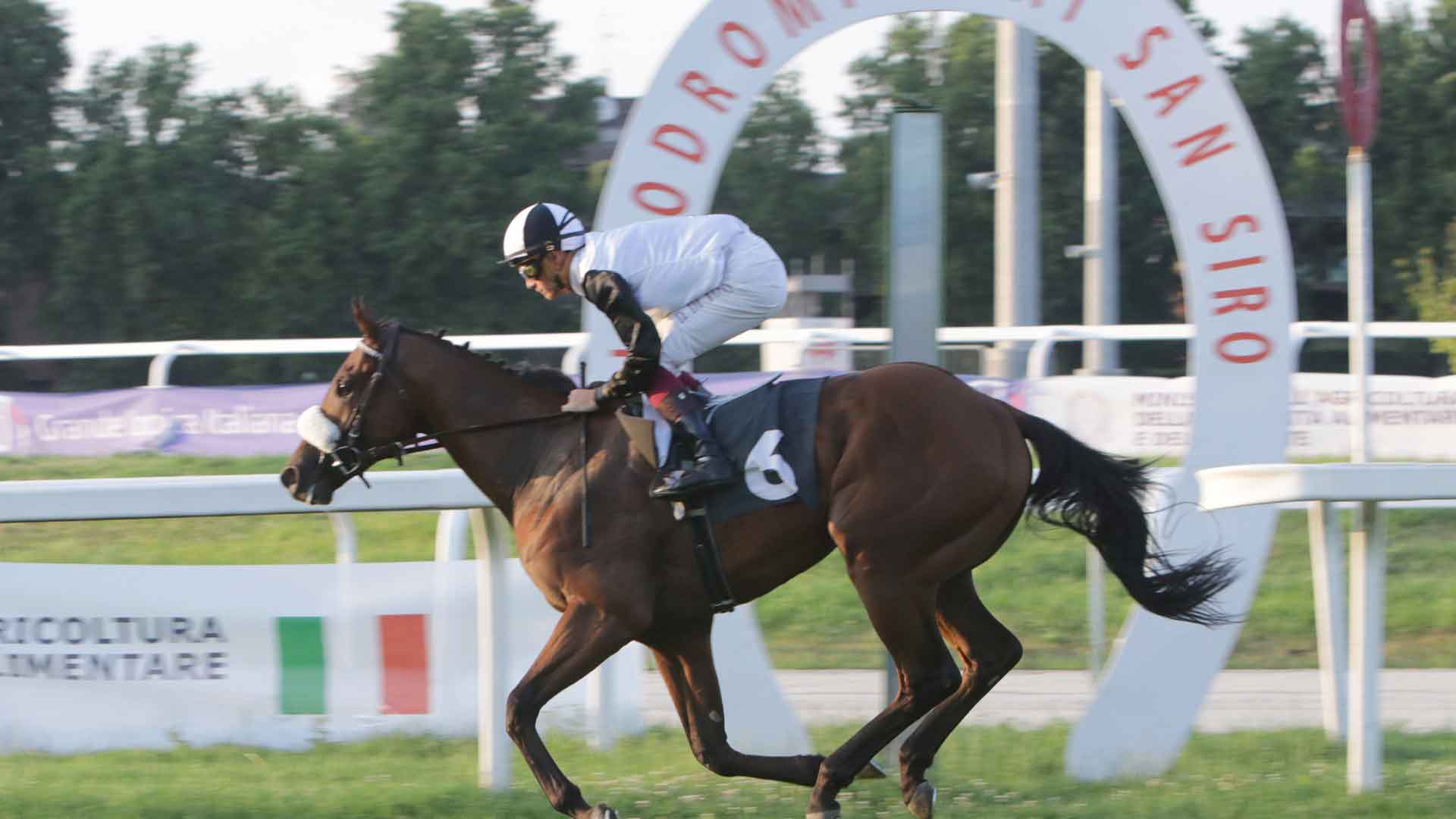 DE MONTEL