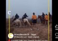 Argentina: Mapuche a cavallo contro runner che entrano in un’area naturale