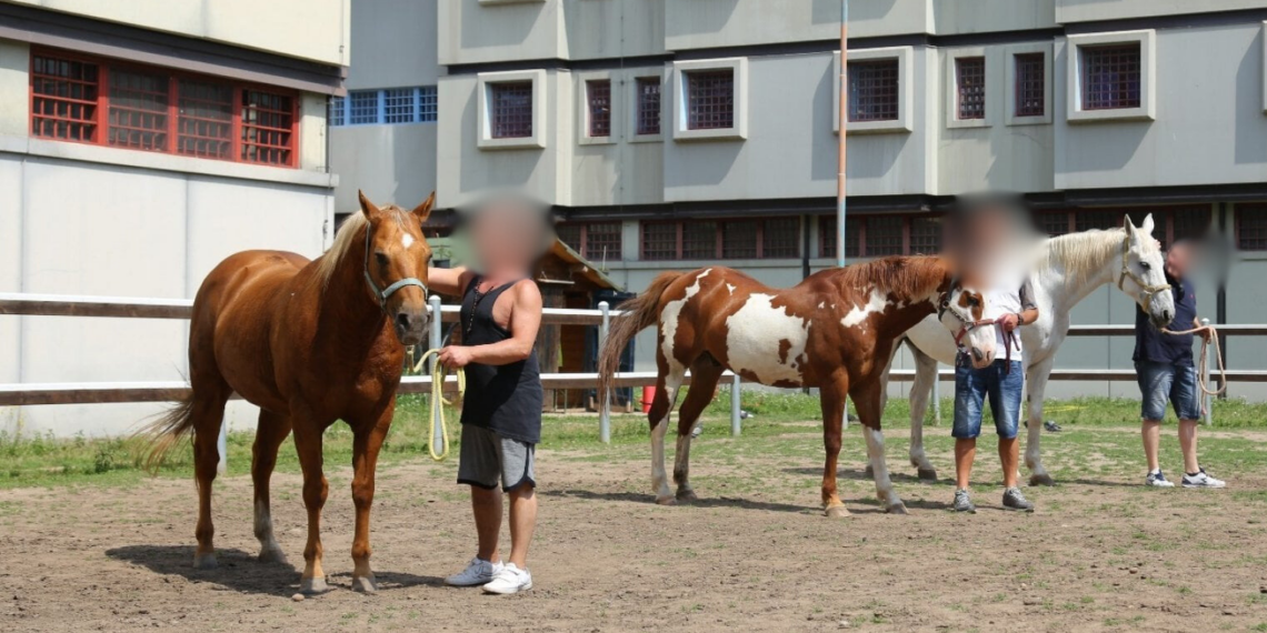 Fieracavalli e il carcere di Montorio: insieme per ‘Terreni Fertili’