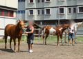 Fieracavalli e il carcere di Montorio: insieme per ‘Terreni Fertili’