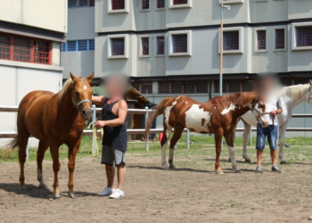 Fieracavalli e il carcere di Montorio: insieme per ‘Terreni Fertili’