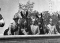 “Voglimi bene”: quando era un mulo a insegnare il benessere animale