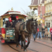 Disneyland e i cavalli: una storia complicata