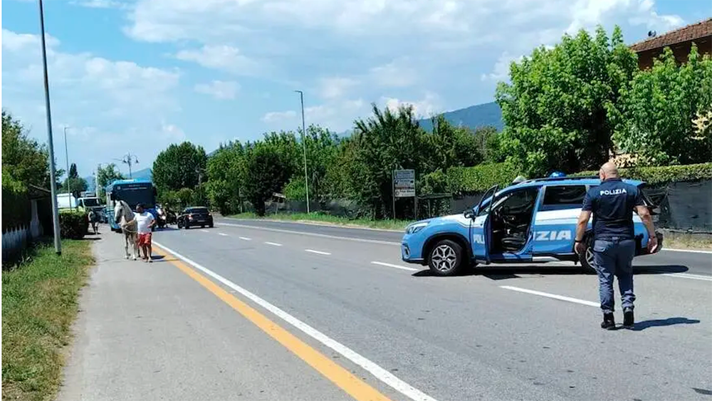 Schermata 2026 07 08 alle 16.47.55