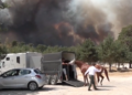 Incendi a Fontainebleau: si evacuano i cavalli