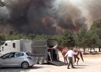 Incendi a Fontainebleau: si evacuano i cavalli