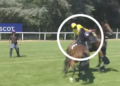 Fantino aggredito da un cavallo