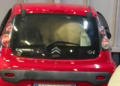Pony nel baule: fatevi visitare da uno bravo