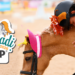 Ponyadi KEP Italia. 1.100 giovanissimi e oltre 1.000 pony ad Arezzo