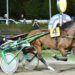 Bella domenica al Sesana col Gp Società Terme