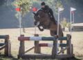 Il Completo debutta all’ASD Golden Horse di Porto Corsini