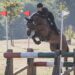 Il Completo debutta all’ASD Golden Horse di Porto Corsini
