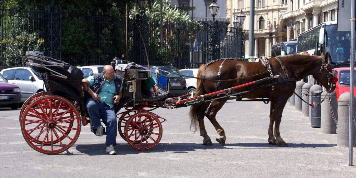 A Napoli i vetturini dicono sì ai taxi: «Convertite le nostre licenze»