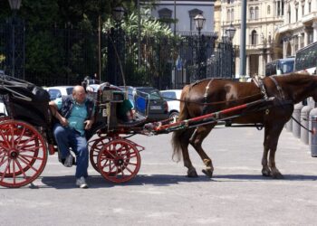 A Napoli i vetturini dicono sì ai taxi: «Convertite le nostre licenze»