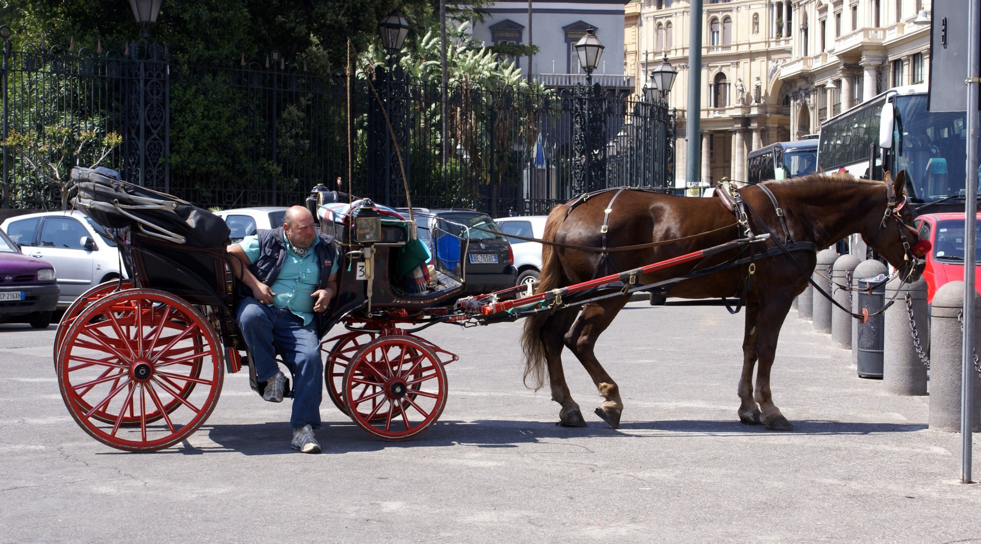 carrozzella con cavallo a napoli