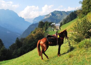 Trekking a cavallo: non una passeggiata, ma un viaggio