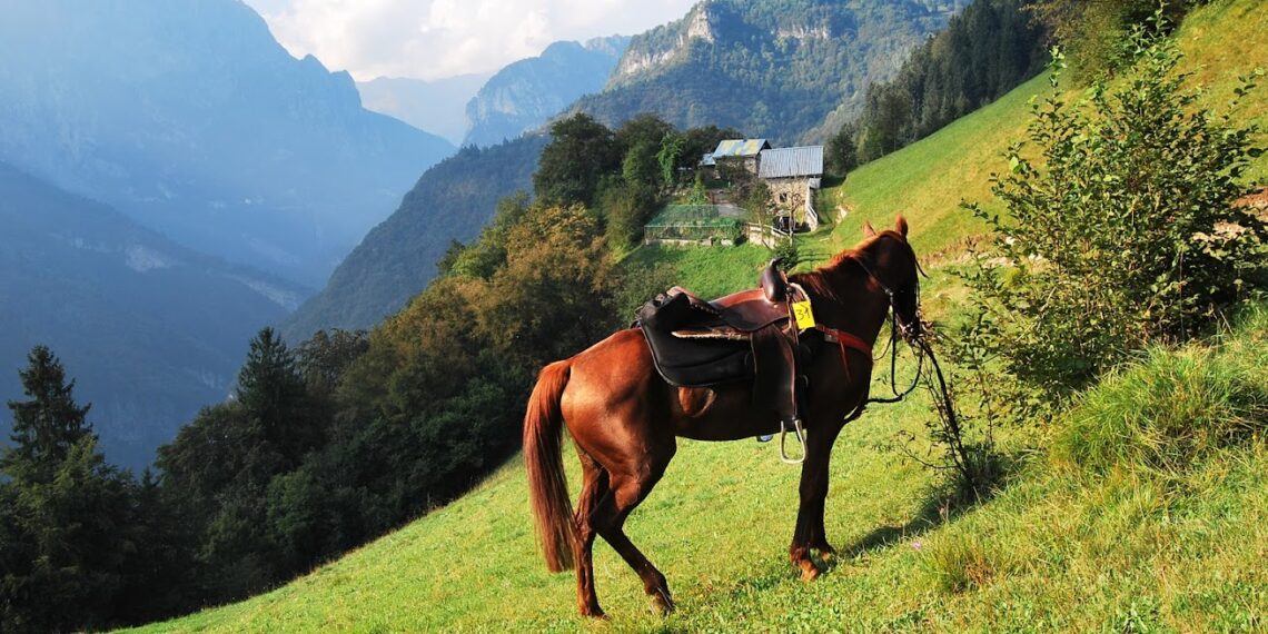 Trekking a cavallo: non una passeggiata, ma un viaggio