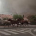 Cavalli in fuga. La Francia brucia