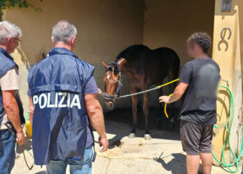Corsa sventata a Caltagirone