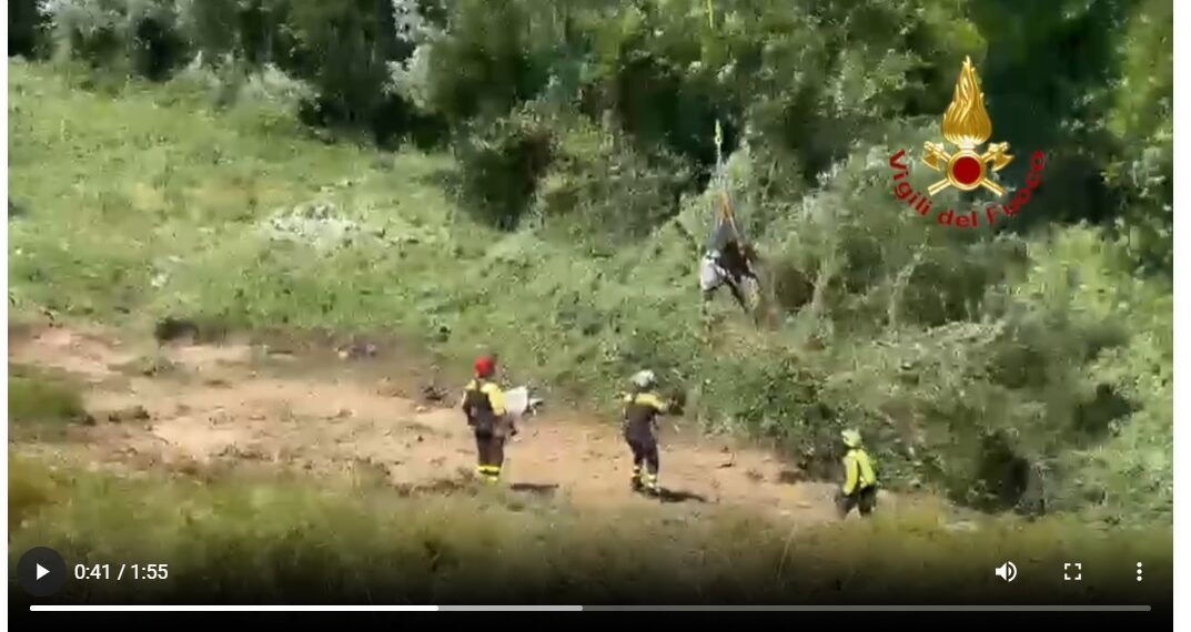 Fugge durante il temporale e finisce in un canale: cavallo salvato con l’elicottero