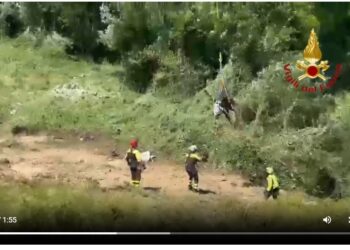 Fugge durante il temporale e finisce in un canale: cavallo salvato con l’elicottero