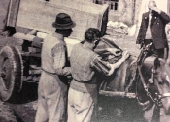 Val di Fiemme, una mostra fotografica racconta l’evoluzione del cavallo Haflinger