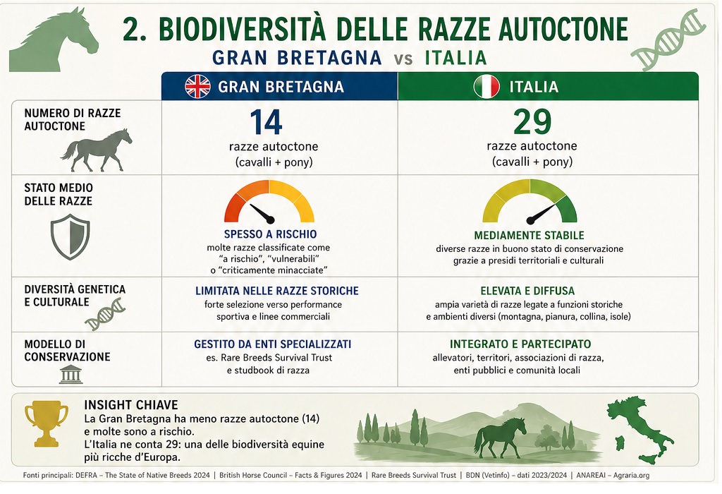 info 2 new info 2 new