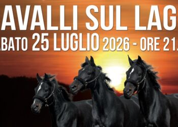 A Marta, Cavalli sul Lago: che è sempre più grande