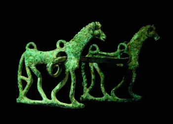 Claudio Giannelli: “Ho dato la mia parola, il Museo del Cavallo si farà”