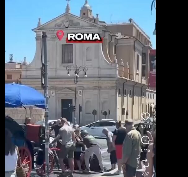 Cavallo delle botticelle a terra a Roma: il problema potrebbe essere sotto gli zoccoli, non sopra