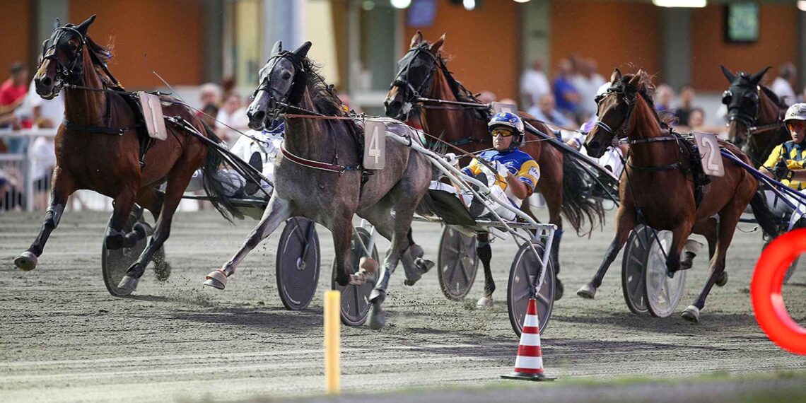 Al Savio la prima puntata del Tomaso Grassi Drivers Award