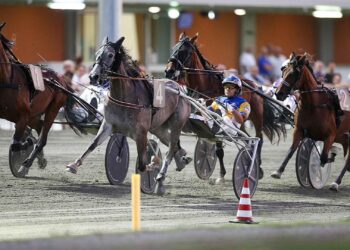 Al Savio la prima puntata del Tomaso Grassi Drivers Award