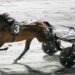 Il grande trotto fa tappa al Savio col Gp Città di Cesena