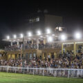 Il folto pubblico assiste in notturna all’81ª Coppa del Mare dalle tribune dell’ippodromo Federico Caprilli di Livorno