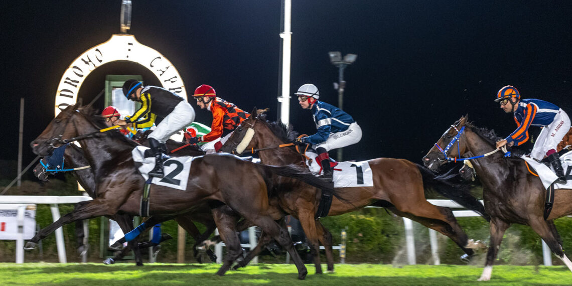 Cavalli e fantini impegnati in una corsa al galoppo in notturna all’Ippodromo Caprilli di Livorno