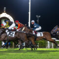 Cavalli e fantini impegnati in una corsa al galoppo in notturna all’Ippodromo Caprilli di Livorno