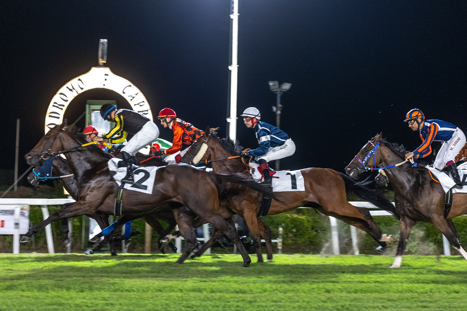 20260817 generica