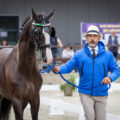 Luca Cassottana conduce a mano un cavallo durante la horse inspection degli Europei di Attacchi 2025 a Lähden