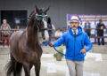 Luca Cassottana conduce a mano un cavallo durante la horse inspection degli Europei di Attacchi 2025 a Lähden
