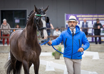 Luca Cassottana conduce a mano un cavallo durante la horse inspection degli Europei di Attacchi 2025 a Lähden