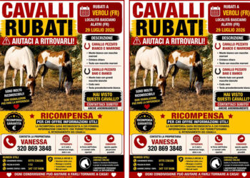 Non mangiate questi cavalli!