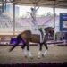 Aachen 2026, Rebecca Greggio e Malleret Romulus TS 15° dopo gli obbligatori