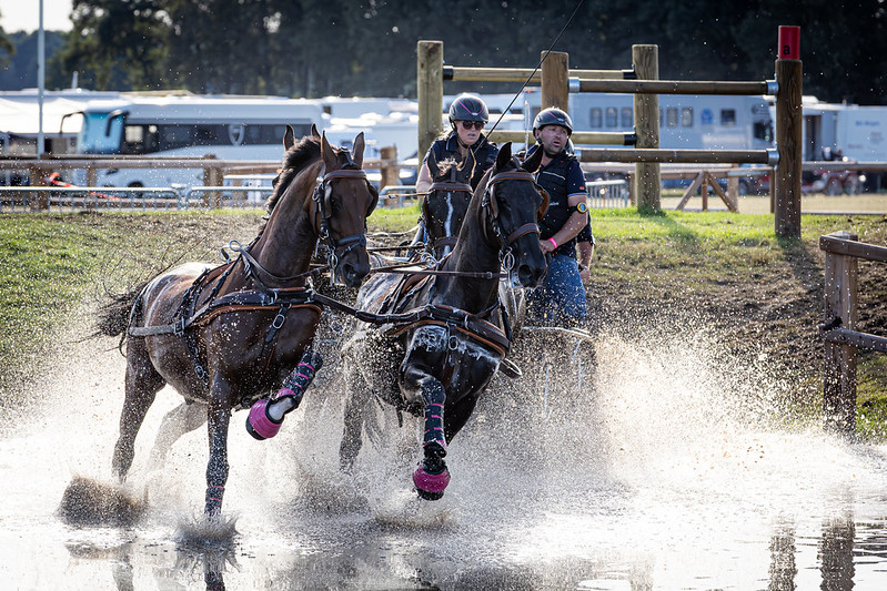 Anna SANDMANN (GER), FEI Driving European Championship and FEI Para World Championship - Lähden 2025, Marathon Test Anna SANDMANN GER FEI Driving European Championship and FEI Para World Championship Lahden 2025 Marathon Test