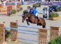 Aachen 2026: i cavalli azzurri ok all’ispezione veterinaria